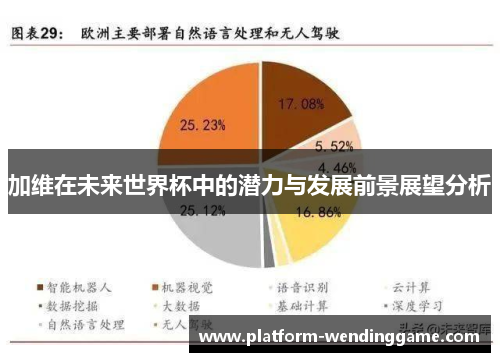 加维在未来世界杯中的潜力与发展前景展望分析