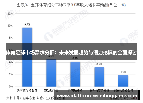 体育足球市场需求分析：未来发展趋势与潜力挖掘的全面探讨