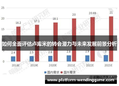 如何全面评估卢库米的转会潜力与未来发展前景分析