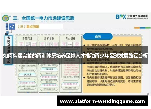 如何构建完善的青训体系培养足球人才推动青少年足球发展路径分析