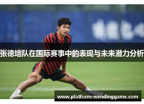 张德培队在国际赛事中的表现与未来潜力分析