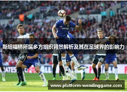 斯坦福桥所属多方组织背景解析及其在足球界的影响力