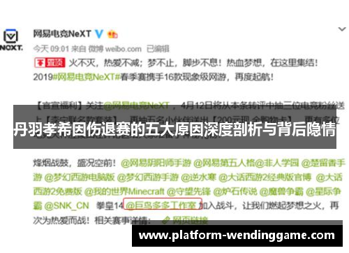 丹羽孝希因伤退赛的五大原因深度剖析与背后隐情