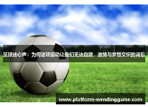 足球迷心声：为何这项运动让我们无法自拔，激情与梦想交织的背后