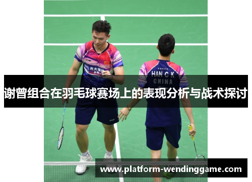 谢曾组合在羽毛球赛场上的表现分析与战术探讨 谢曾组合在羽毛球赛场上的表现分析与战术探讨