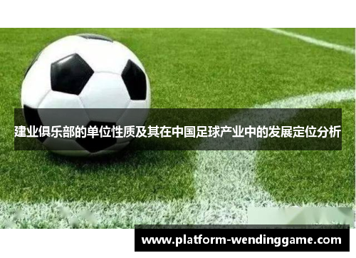 建业俱乐部的单位性质及其在中国足球产业中的发展定位分析 建业俱乐部的单位性质及其在中国足球产业中的发展定位分析