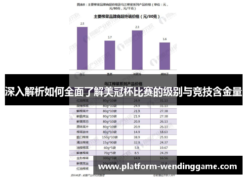 深入解析如何全面了解美冠杯比赛的级别与竞技含金量