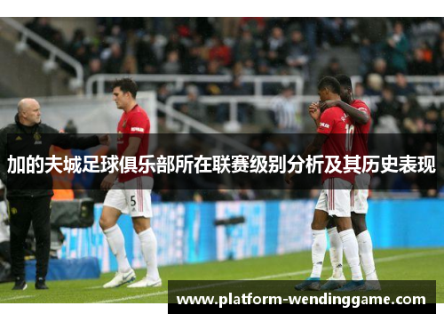 加的夫城足球俱乐部所在联赛级别分析及其历史表现