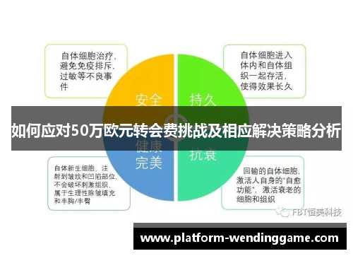 如何应对50万欧元转会费挑战及相应解决策略分析