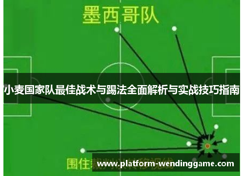 小麦国家队最佳战术与踢法全面解析与实战技巧指南