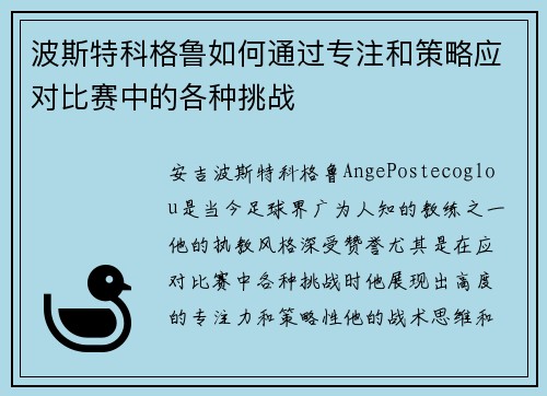 波斯特科格鲁如何通过专注和策略应对比赛中的各种挑战